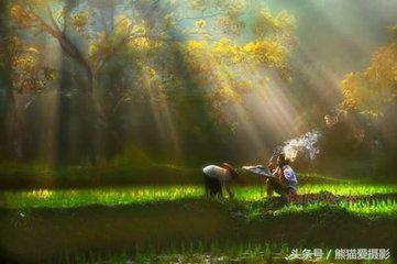 干货拍照小窍门,干货拍照技术