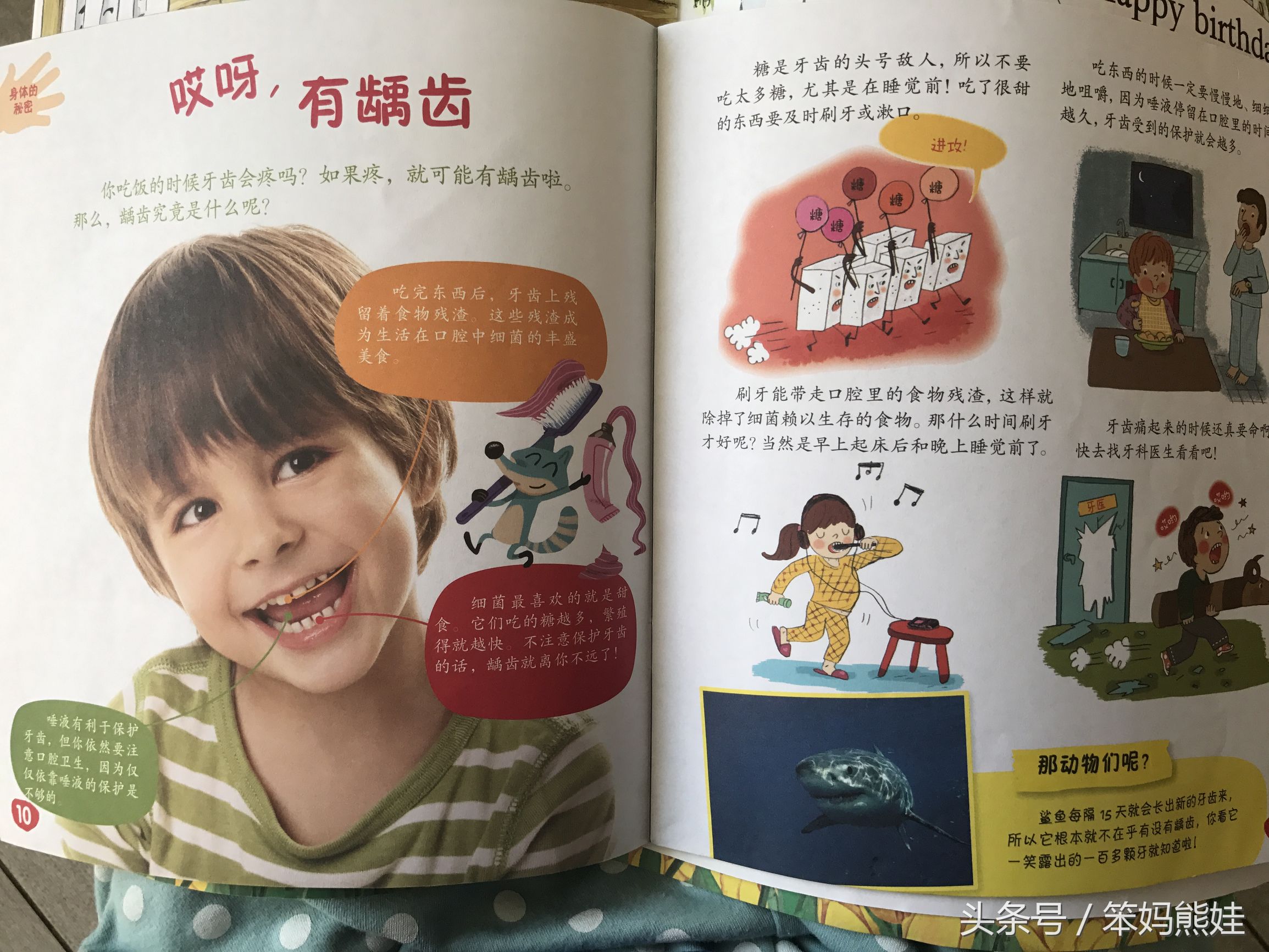 合适幼儿阅读的期刊,合适幼儿看的期刊有哪些