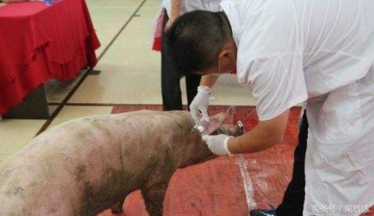 疫苗过敏打脱敏针疫苗还有用吗,疫苗过敏吃氯雷他定