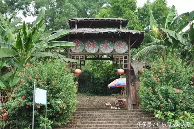 广东普罗旺斯花海,普罗旺斯的薰衣草紫色花海