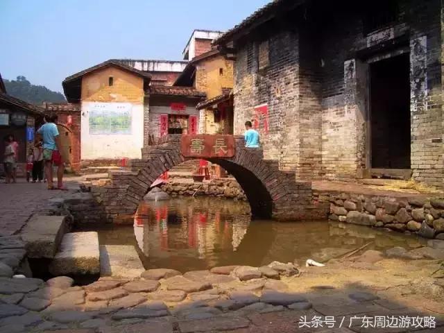 广东普罗旺斯花海,普罗旺斯的薰衣草紫色花海