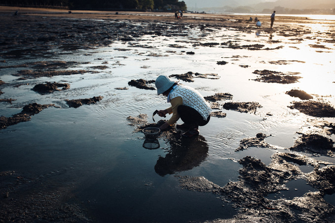 紫藤花开的季节去看锦鲤成了精，据说转发会有好运