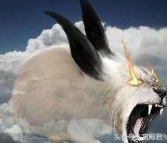 涨知识故宫里的兽像都有什么寓意,涨知识故宫里的藏宝一览