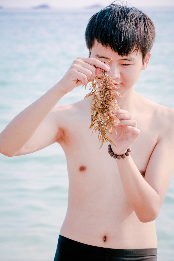 北纬18度三亚你不宁愿错过的风景