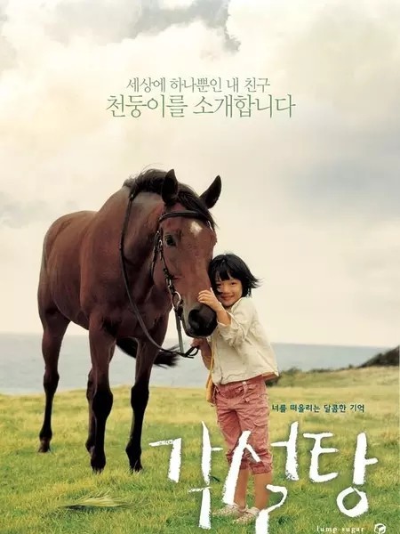 合适孩子看的八部动物电影,小朋友能够看的与动物有关的电影