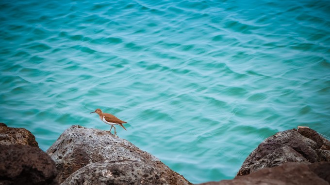 北纬18度三亚你不宁愿错过的风景