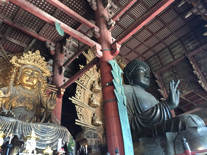 日本的冬天依旧色彩绚烂,冬季日本的冰雪日照