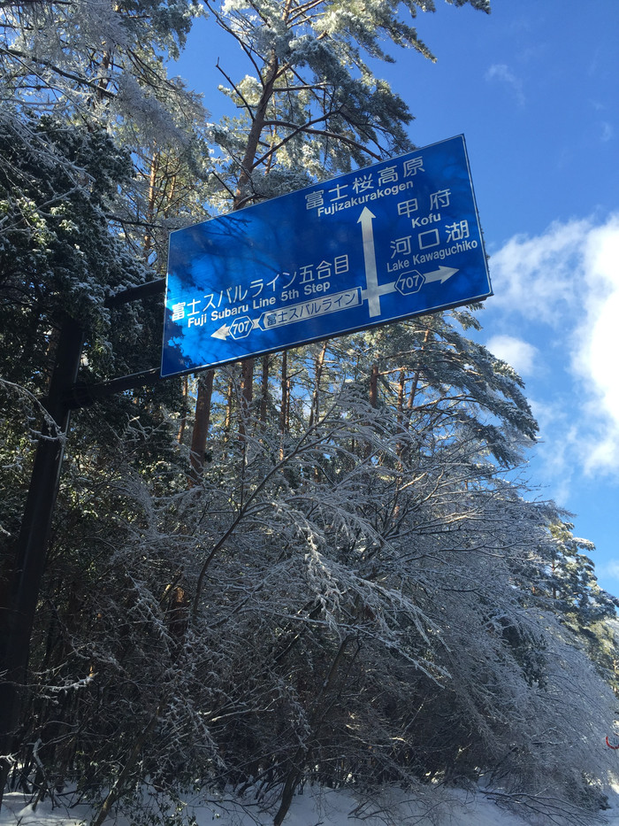 日本的冬天依旧色彩绚烂,冬季日本的冰雪日照