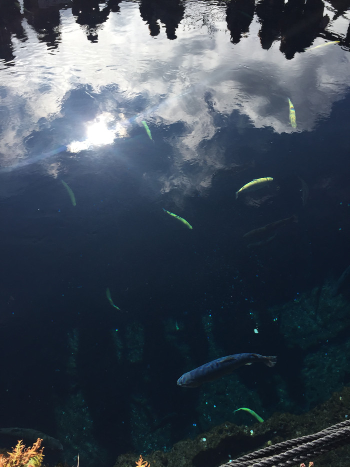 日本的冬天依旧色彩绚烂,冬季日本的冰雪日照