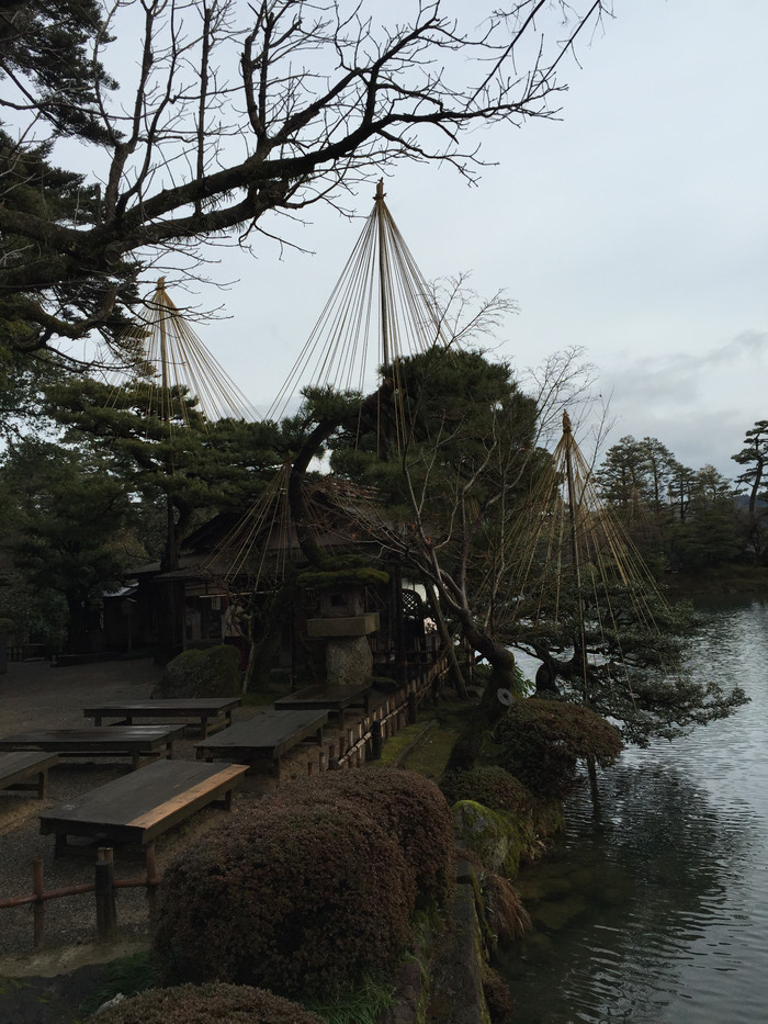 日本的冬天依旧色彩绚烂,冬季日本的冰雪日照