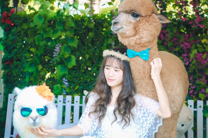 北纬18度三亚你不宁愿错过的风景