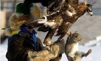 北京土话集,北京土话完全版