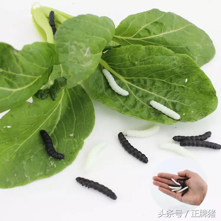 谈恋爱期间女朋友生日送什么礼物,女朋友生日礼物送给她什么好