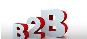 b2b垂直模式和综合模式的区别,垂直b2b与水平b2b是关联模式