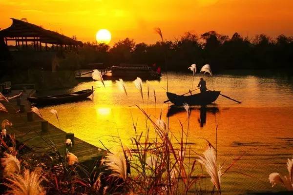 桑基鱼塘农耕文化体验区,传统桑基鱼塘不断萎缩的根本原因