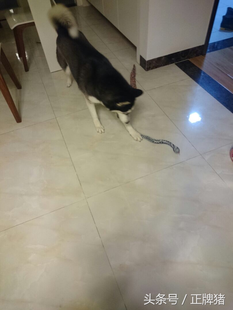 谈恋爱期间女朋友生日送什么礼物,女朋友生日礼物送给她什么好