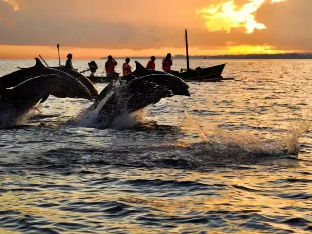 巴厘岛浪漫的海岛,巴厘岛爱情迷宫旅游攻略