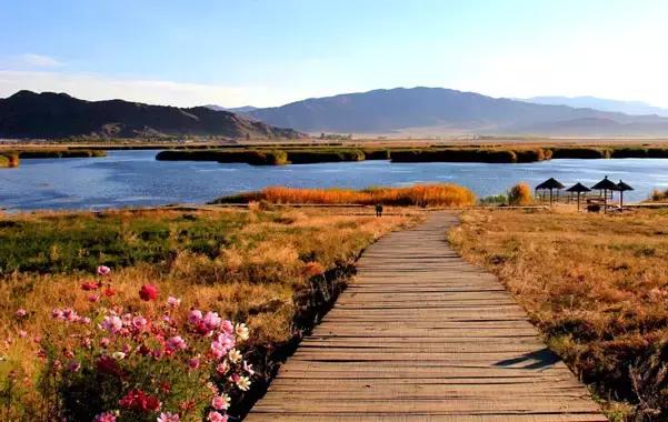 新疆南北疆大环线风景旅游专列,北京去新疆沿途风景