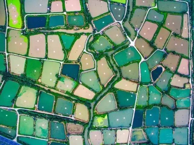 桑基鱼塘农耕文化体验区,传统桑基鱼塘不断萎缩的根本原因