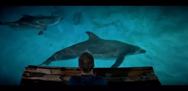 合适孩子看的八部动物电影,小朋友能够看的与动物有关的电影