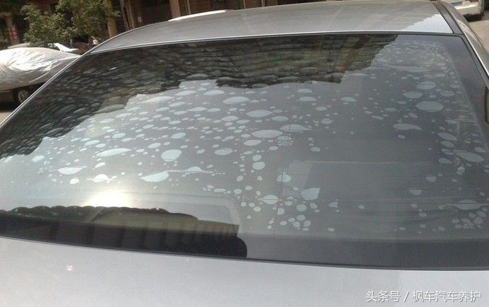 夏天车膜颜色推荐,夏天车膜选择什么样的