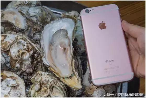 高配的自家农场农庄开始大放价，38蚊/打湛江生蚝！1蚊炸云吞