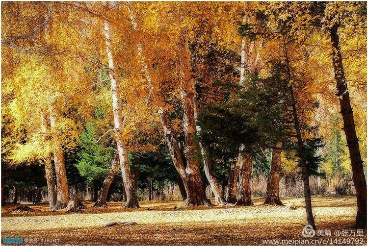 美丽*疆新**100张——美在雪山，美在草原，美在戈壁，美在心灵！