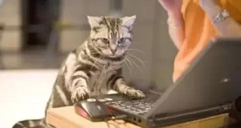 职场表情包朋友圈,职场表情包套装