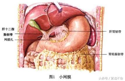 腹痛ct正常需要查肿瘤标志物吗,腹痛死亡三种疾病