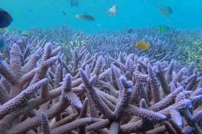 带着思念去海边,带着思念期待下一次再见