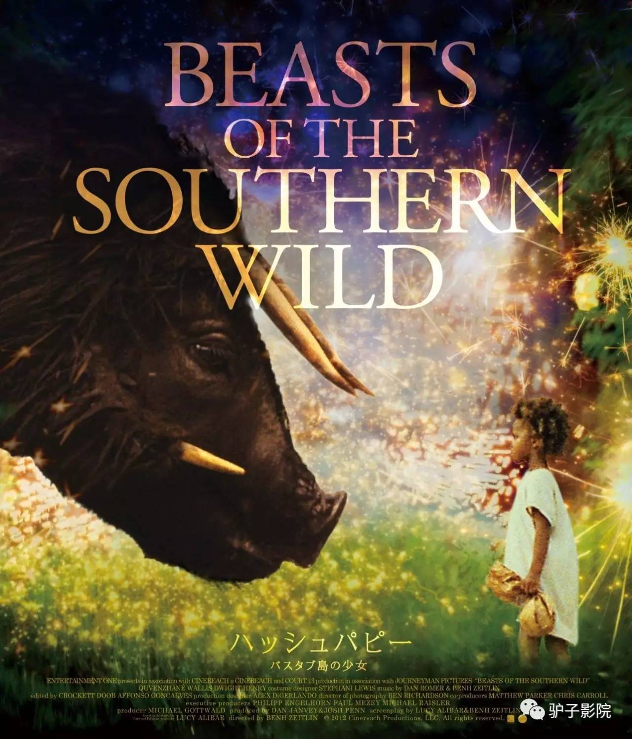 22岁必看的几部电影,30岁之前必须看的电影