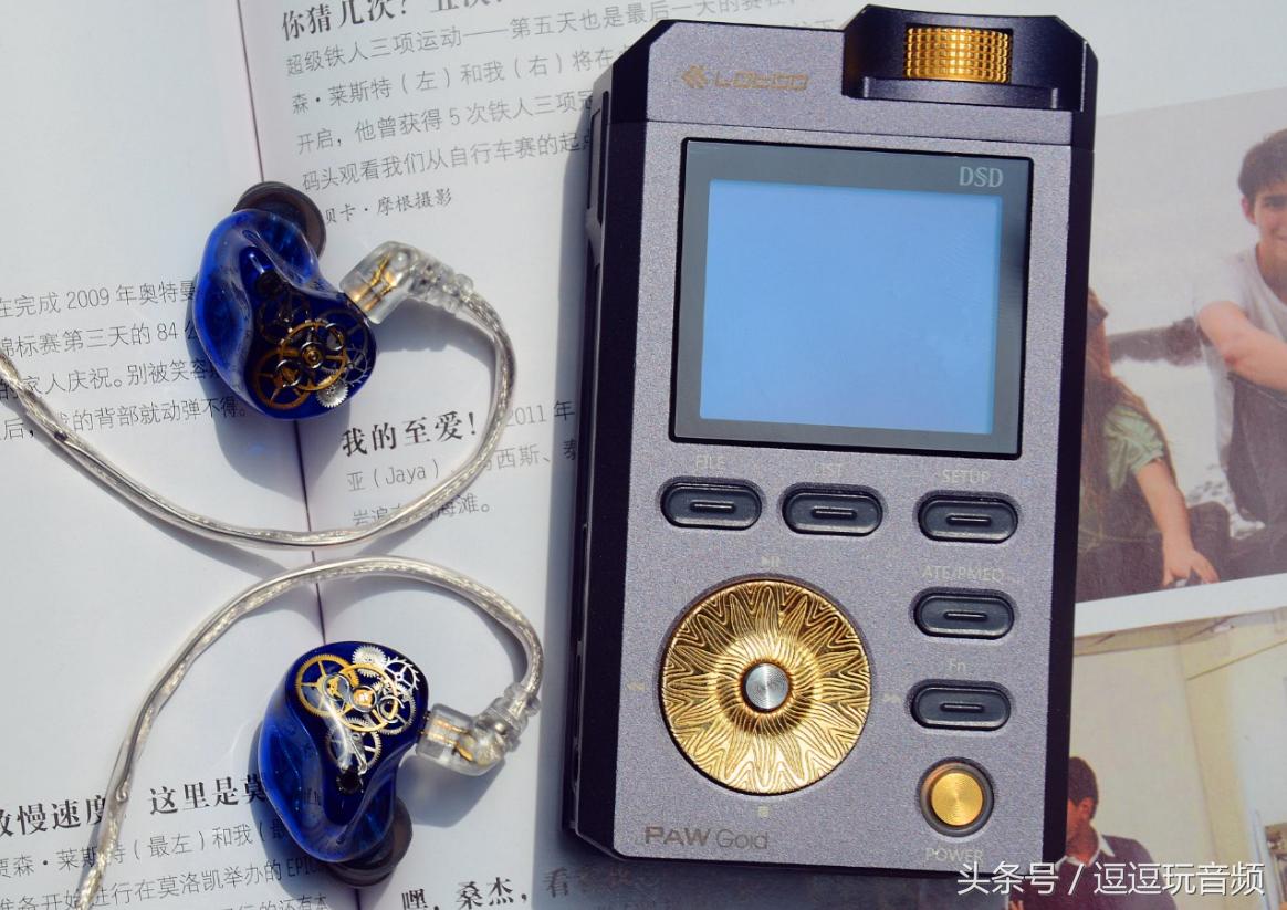 经典国砖推荐,金菊花园砖