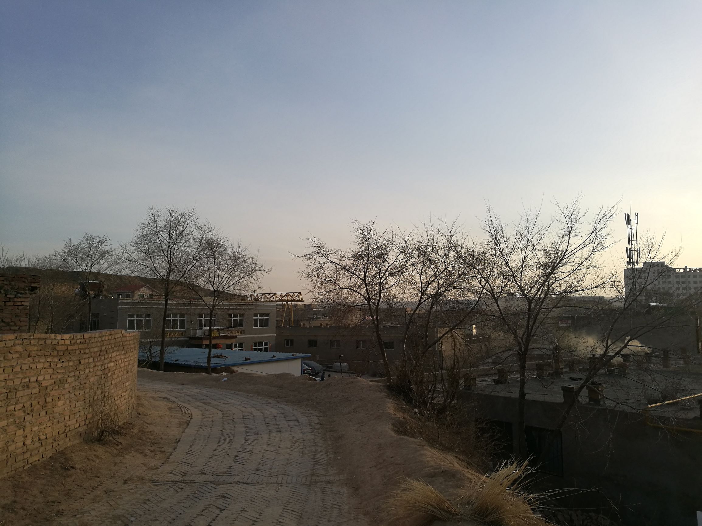 生命的特征包括四大特征,生命的特征政治