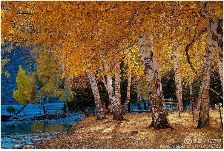 美丽*疆新**100张——美在雪山，美在草原，美在戈壁，美在心灵！