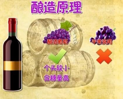 自酿葡萄酒太浓怎样勾兑,自酿葡萄酒太甜了能够加水吗