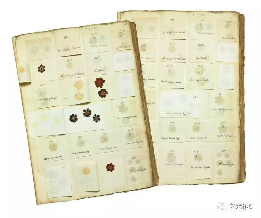 你猜猜，几百年前人们是怎么收藏的？