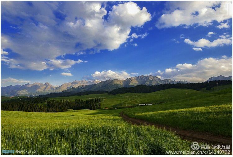 美丽*疆新**100张——美在雪山，美在草原，美在戈壁，美在心灵！