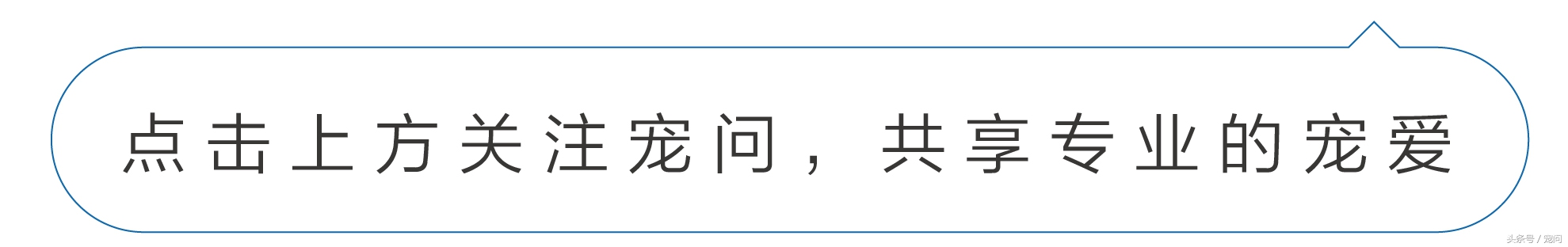 接种狂犬疫苗为什么那么多告知书,中国对狂犬疫苗的误解