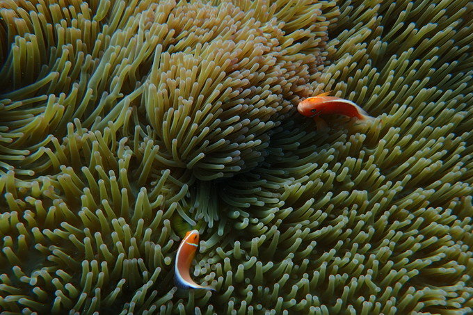 带着思念去海边,带着思念期待下一次再见