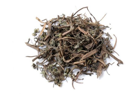 旱莲草的止血功效,旱莲草配什么中药止血效果好