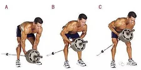 背部训练第一个动作t杆划船,t杠划船练哪里