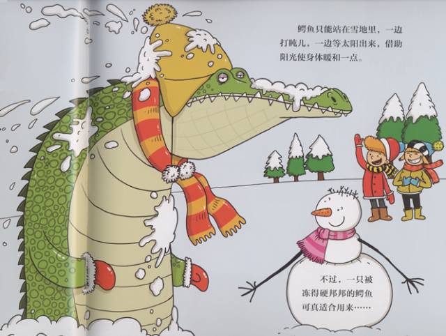 有趣又涨知识的冷科普绘本,儿童必看的自然科普绘本