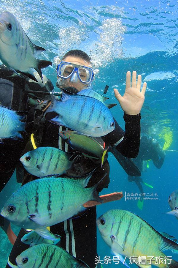 36个必须知道的澳洲旅行贴士,澳洲昆士兰州自由行攻略