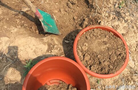 种花没有瓦片,营养土能够种花吗怎么配制