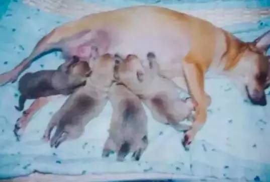 小五直播间故事汇,小五讲故事直播间