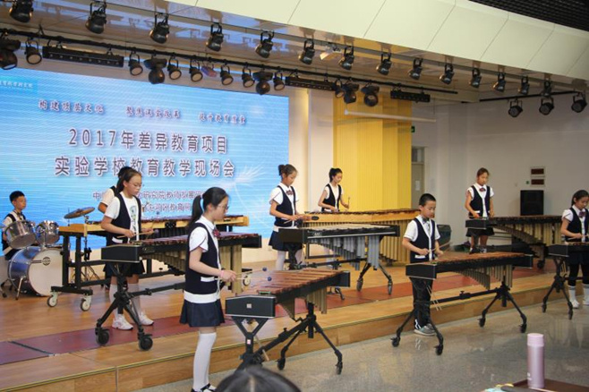 差异教学理念的小学课堂活动,差异教学课题活动