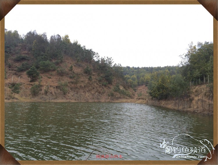 冷雨咬钩,冷雨钓鱼钓多深