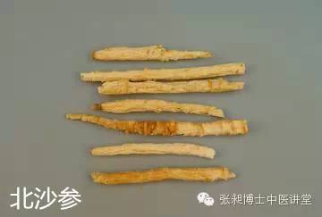 党参北沙参功效与功能,北沙参的功效与功能