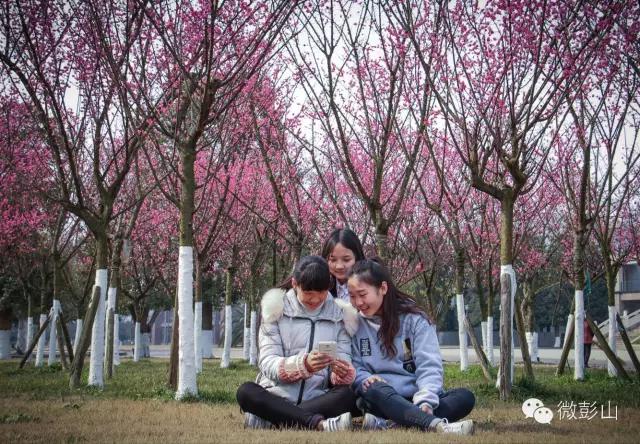 澶у江灞辩殑缇庢櫙,褰北鏄ュ鏃呮父