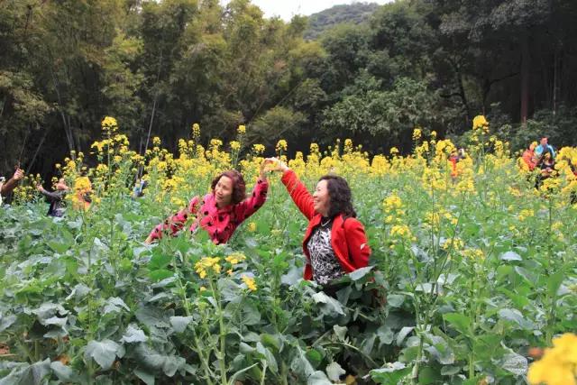 明珠楼白云山风景,白云山明珠楼